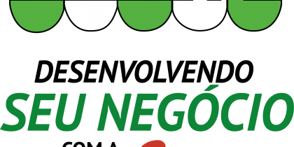 Identidade visual de Desenvolvendo Seu Negócio com a ISM